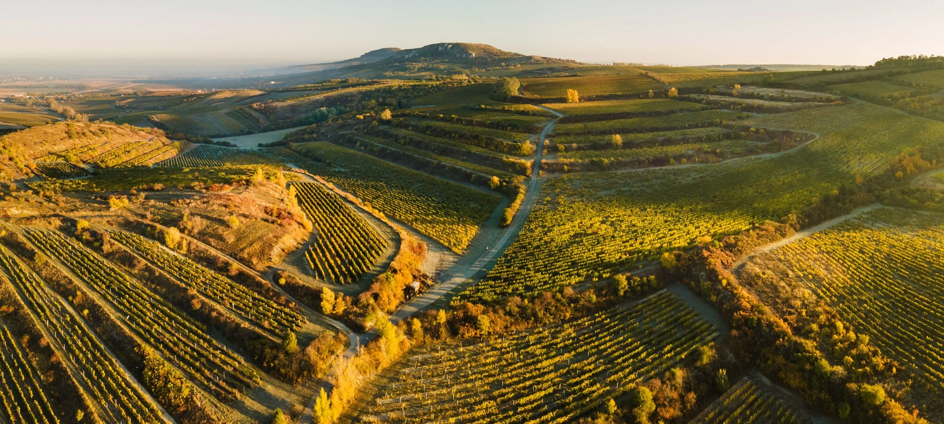Cafe Fara banner - příroda 2