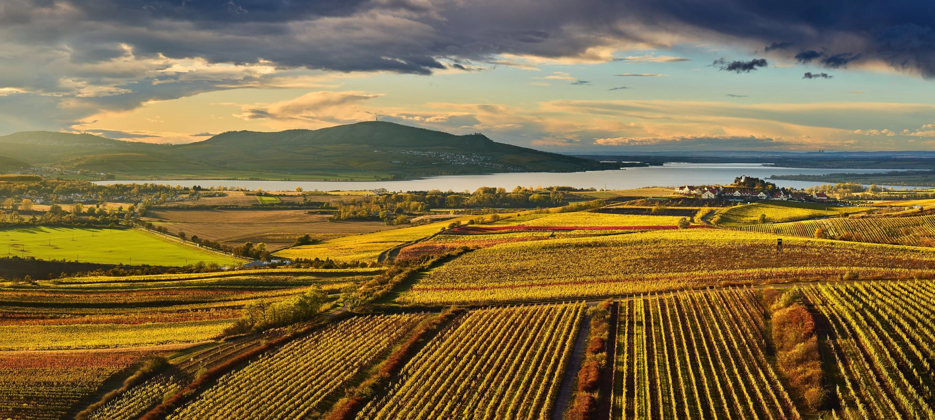 Cafe Fara banner - příroda